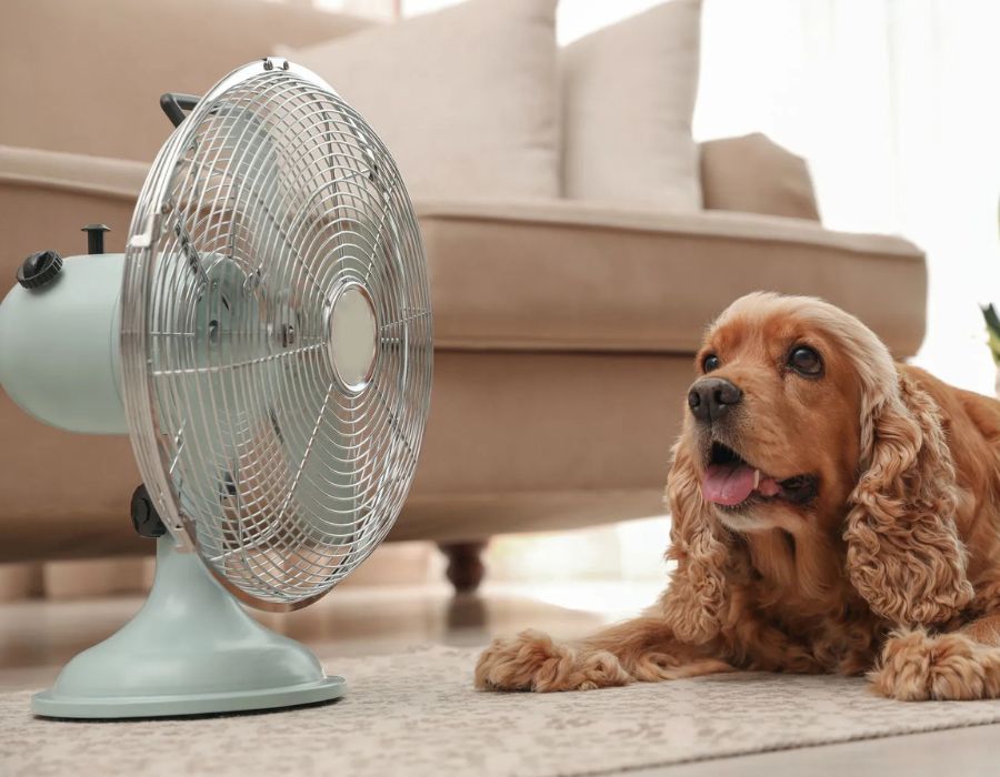 Tips For Keeping Your Home Cool This Summer